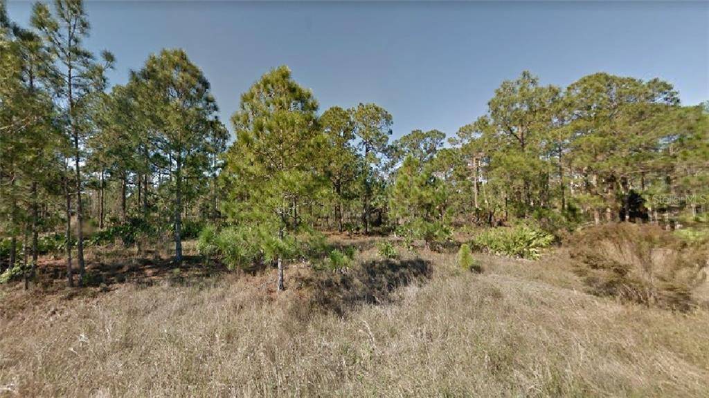 Lehigh Acres, FL 33972,1847 MILLER ST