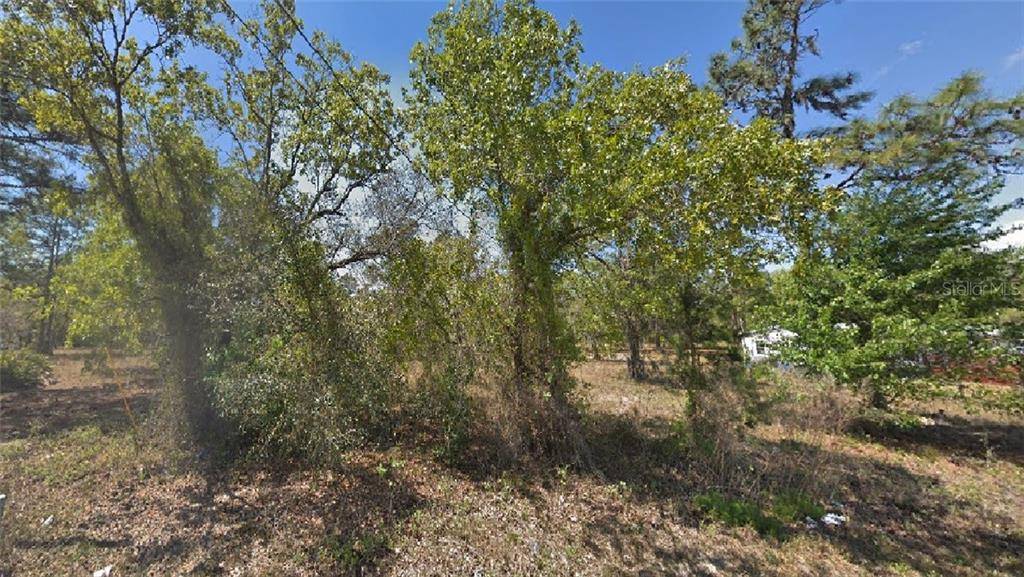 Homosassa, FL 34446,6300 S GROSS AVE