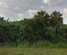 Punta Gorda, FL 33955,26366 CUSTER RD