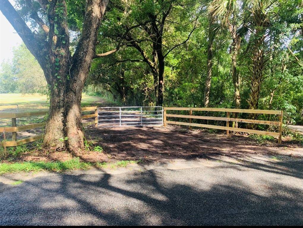 Weirsdale, FL 32195,16201 SE 150TH AVE