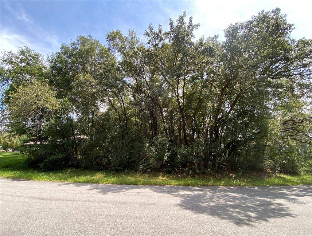 Dunnellon, FL 34432,0 SW 97TH PL