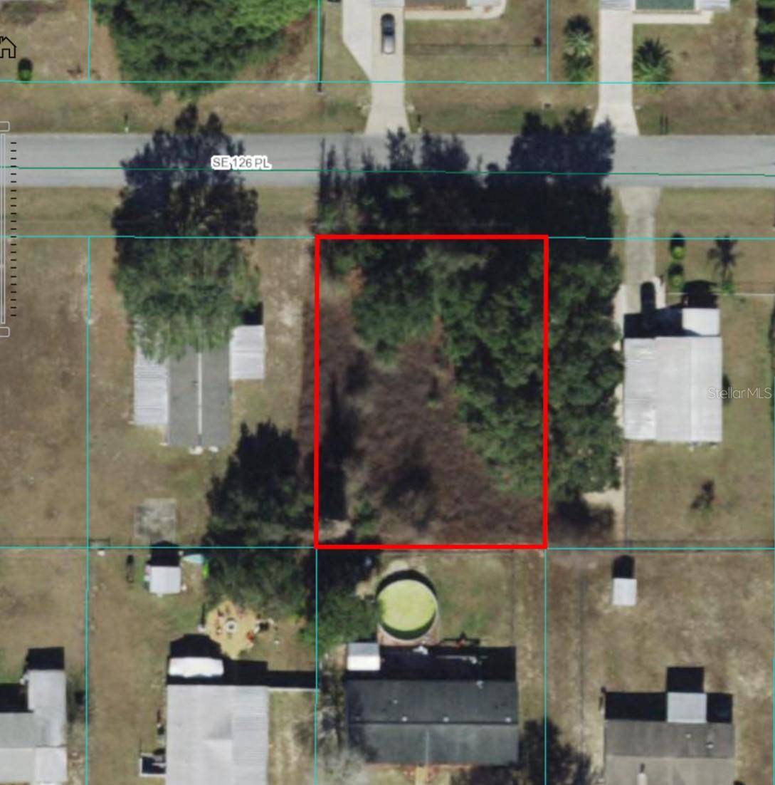 Belleview, FL 34420,TBD SE 126TH PL