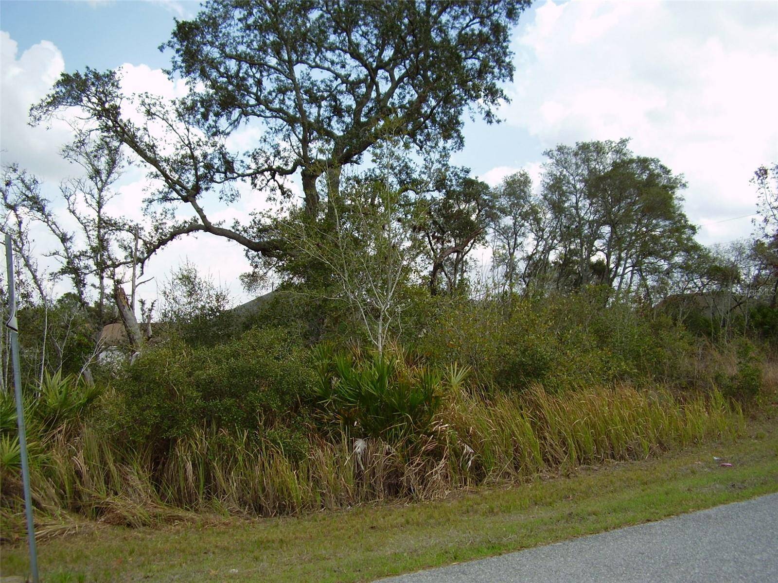 Kissimmee, FL 34759,1603 PICKEREL CT
