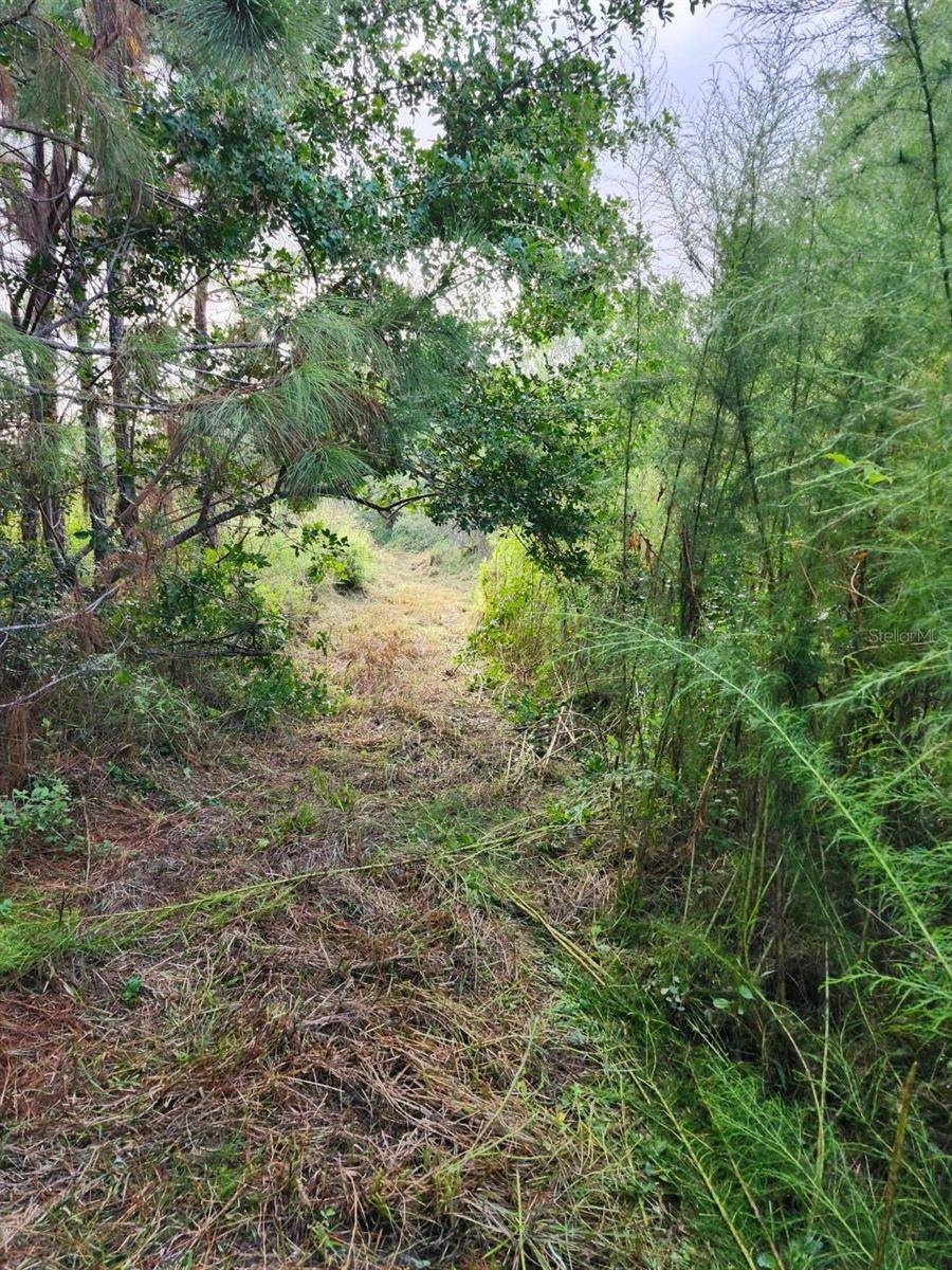 St Cloud, FL 34771,BRIDLE PATH
