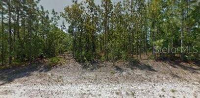 Homosassa, FL 34446,150 CYPRESS BLVD E