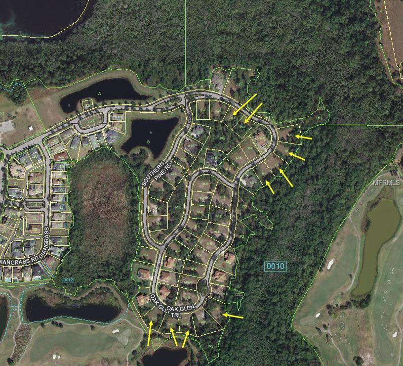 Harmony, FL 34773,7145 OAK GLEN TRL