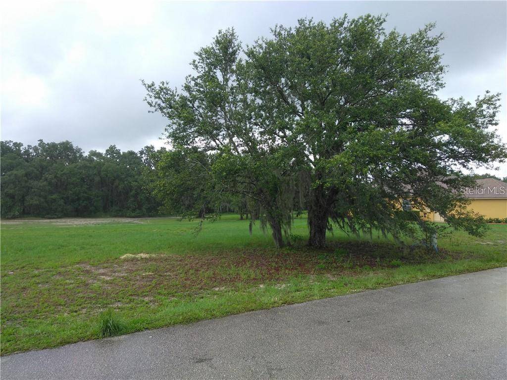 Sebring, FL 33875,7087 STRAFFORD OAKS DR