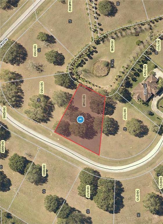 Groveland, FL 34736,Lot 68 ROYAL PALM DR