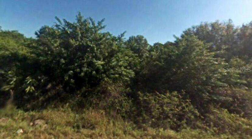 Lehigh Acres, FL 33972,1520 MCKINLEY AVE