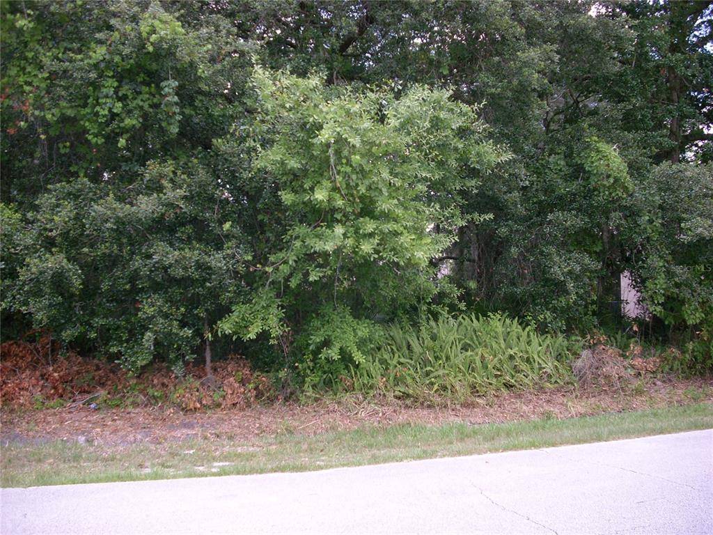 Kissimmee, FL 34758,531 GLADE CT