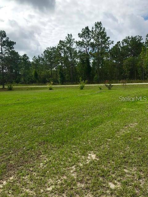 Dunnellon, FL 34431,291 NW CROCUS LN