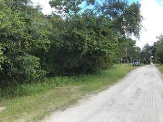 Osteen, FL 32764,622 RIGGS AVE