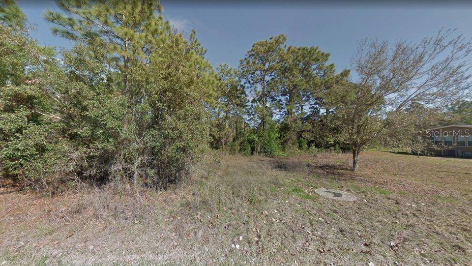 Homosassa, FL 34446,5775 S CANDY CANE DR