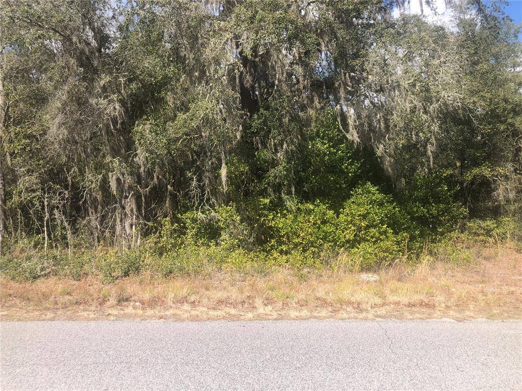 Dade City, FL 33523,6092 IDLE A WHILE CIR #31