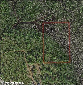 St Cloud, FL 34773,HOLOPAW GROVES RD