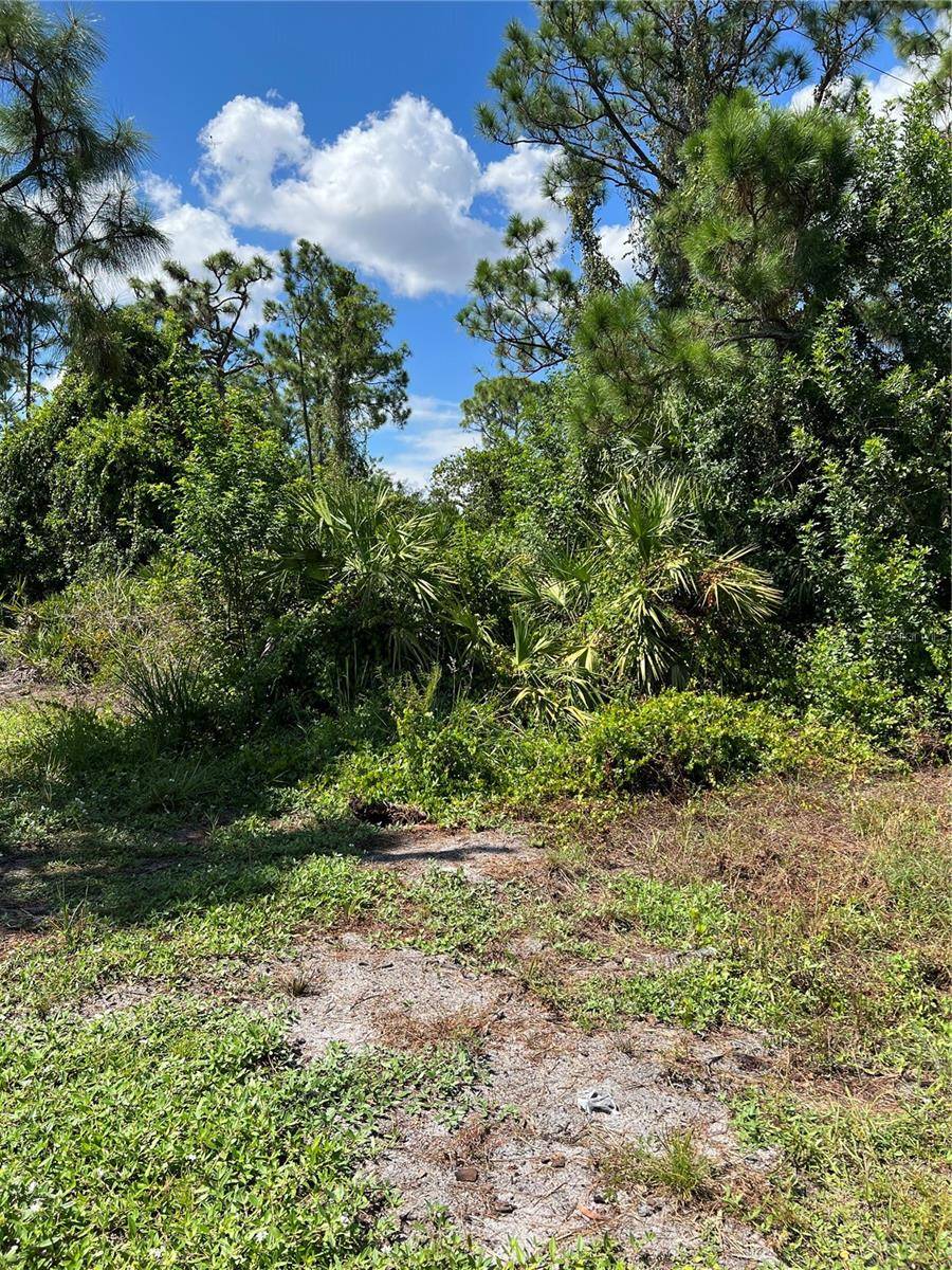 Fort Myers, FL 33913,1252 BARNET AVE