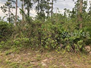 Okeechobee, FL 34972,20581 NW 246TH ST