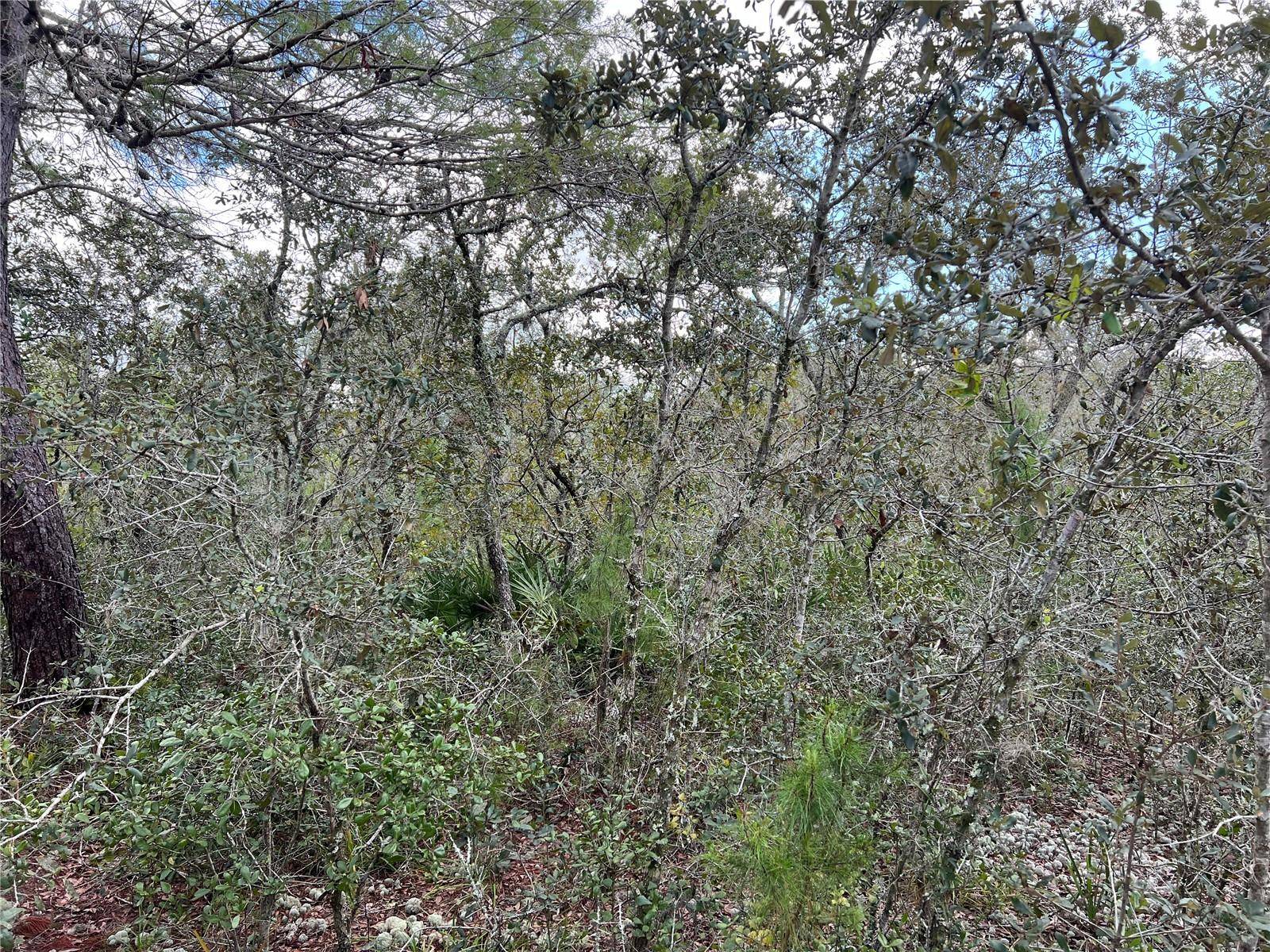 Frostproof, FL 33843,1986 SCRUB JAY TRL