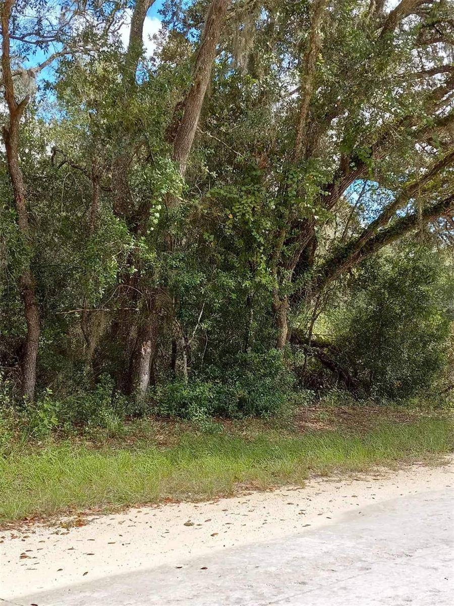 Webster, FL 33597,0 NORWAY ST