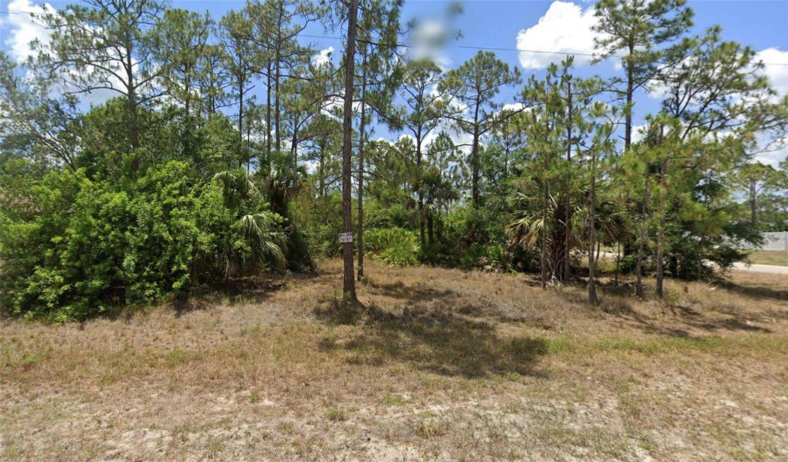 Lehigh Acres, FL 33972,1913 SPARTAN AVE