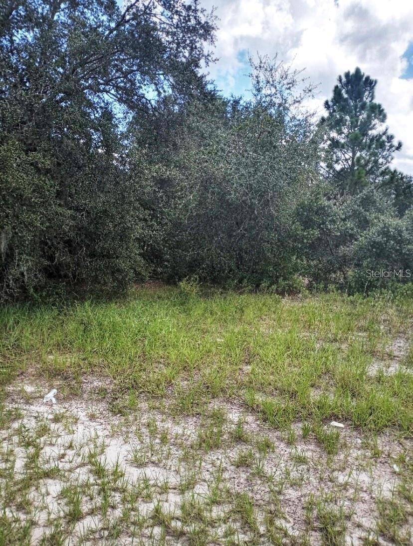 Poinciana, FL 34759,1263 BALTIC DR