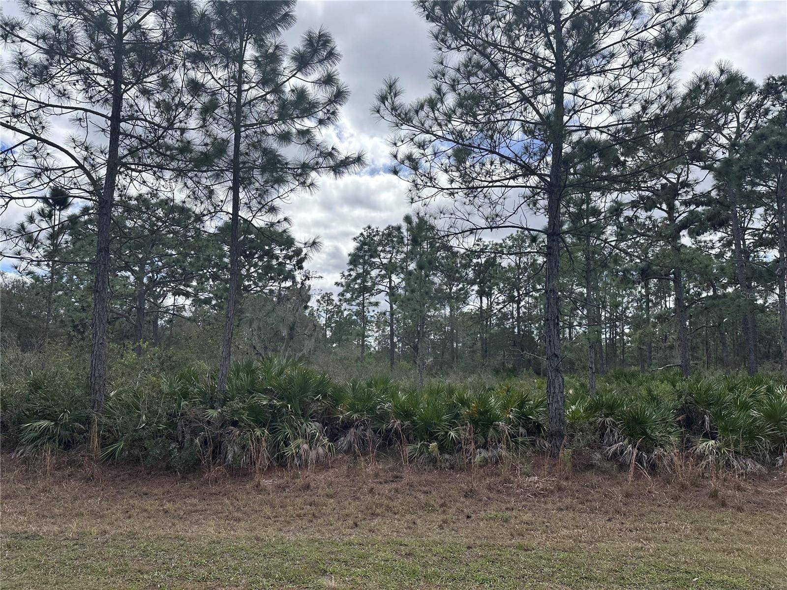 Indian Lake Estates, FL 33855,0 ALLAMANDA LOT 11 DR