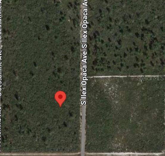 Avon Park, FL 33825,2400 S ILEX OPACA AVE