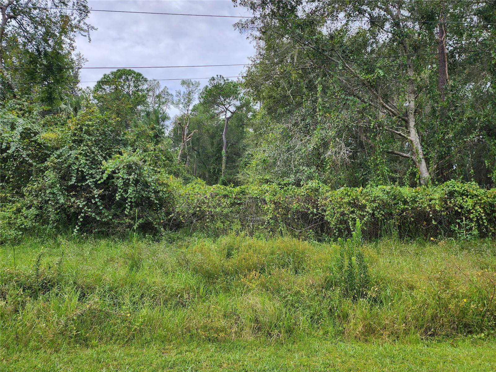Astor, FL 32102,FIRST ST