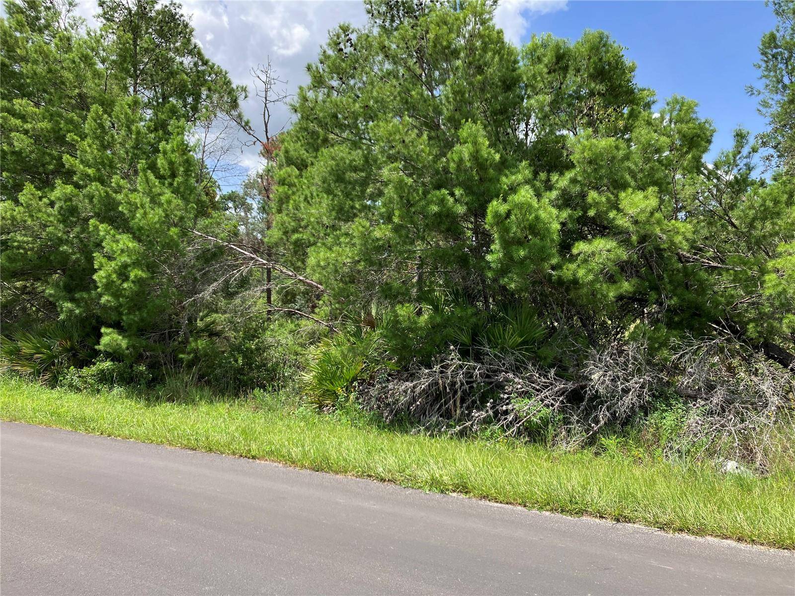 Davenport, FL 33896,FOREHAND RD