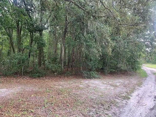 Dunnellon, FL 34432,SW 146TH LN