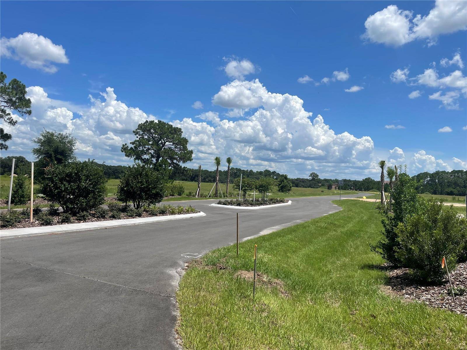 Umatilla, FL 32784,38529 WOODED MEADOW DR