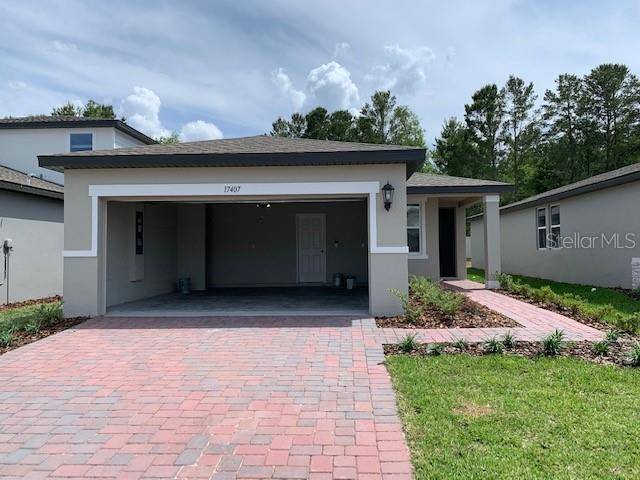 Clermont, FL 34714,17407 MILLION LAKES CT