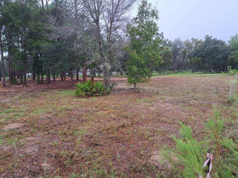 Dunnellon, FL 34431,0 SW IRIS CT