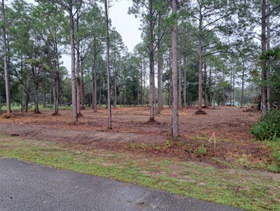 Dunnellon, FL 34431,0 SW IRIS CT