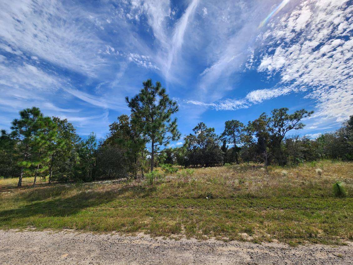 Dunnellon, FL 34433,3336 W NIEMAN DR