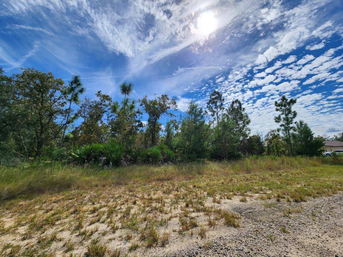 Dunnellon, FL 34433,3336 W NIEMAN DR