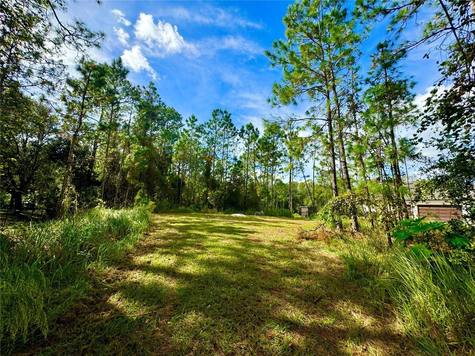 Orlando, FL 32832,11518 RAMBLING OAK BLVD