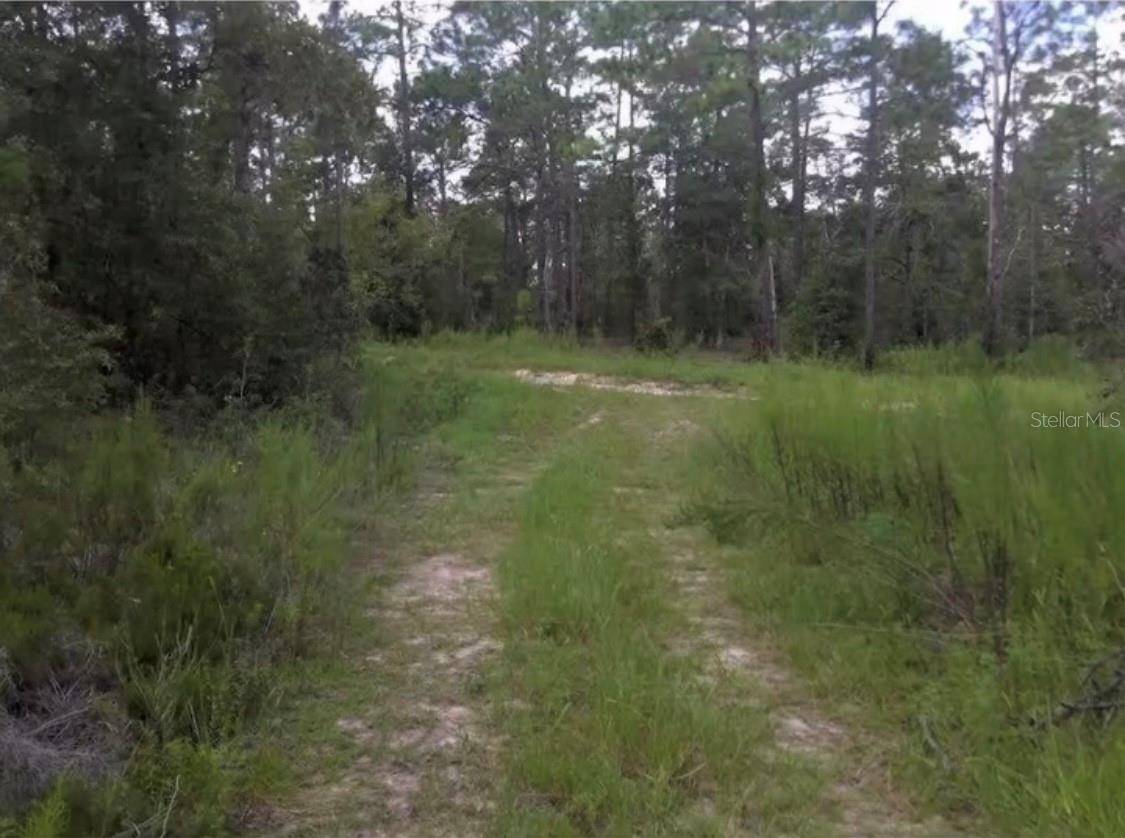 Ocala, FL 34481,LOT 16 SW 25TH PL