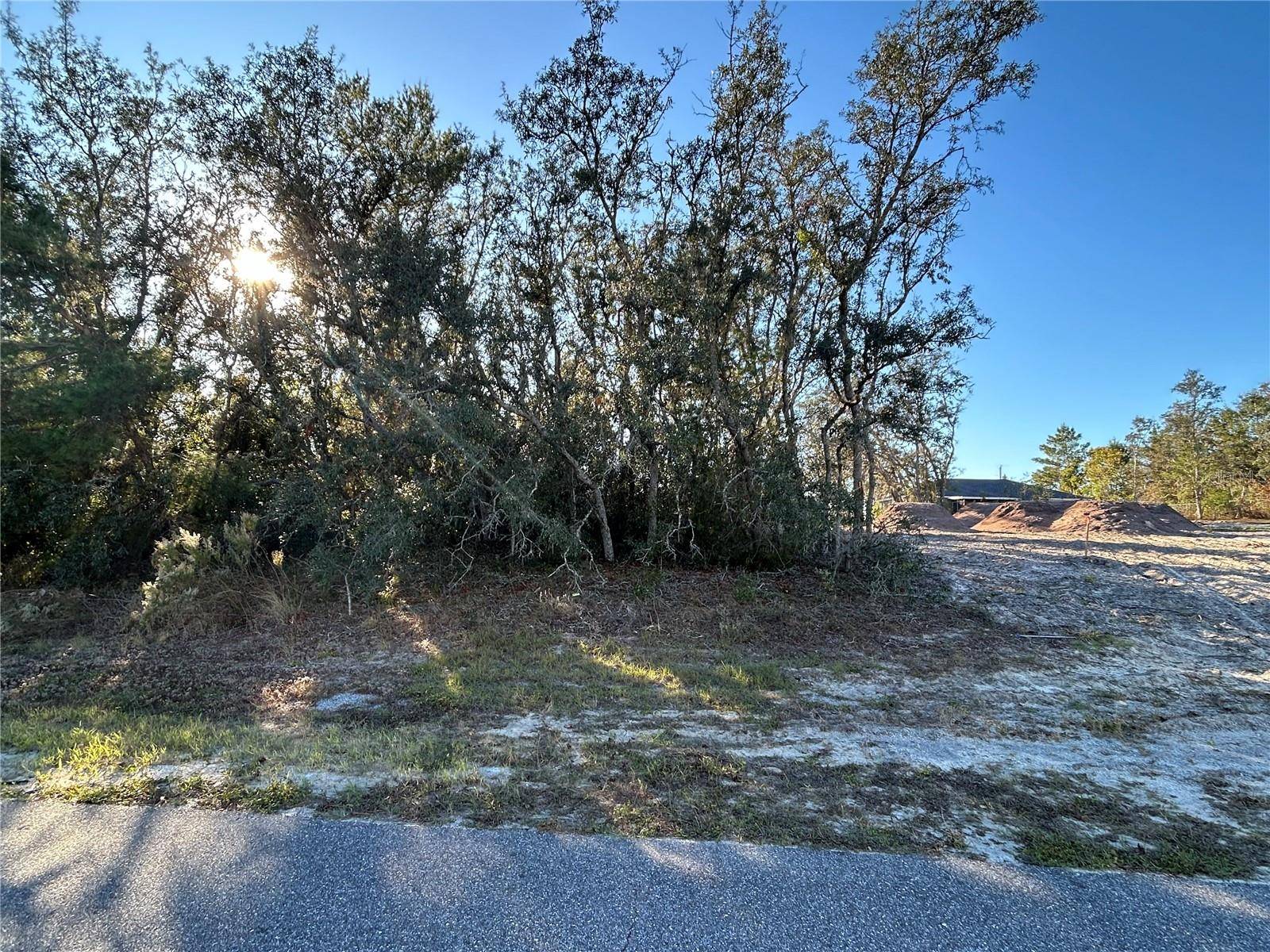 Spring Hill, FL 34609,0 AMERO LN #13