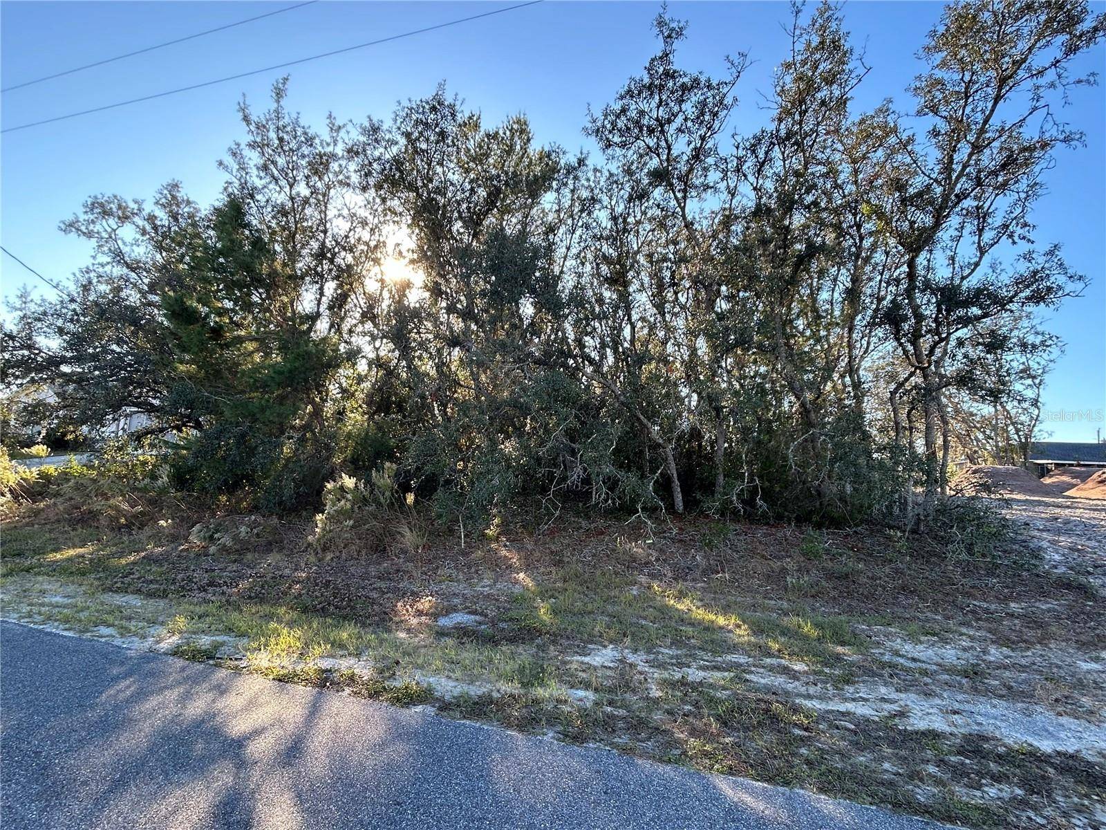 Spring Hill, FL 34609,0 AMERO LN #13