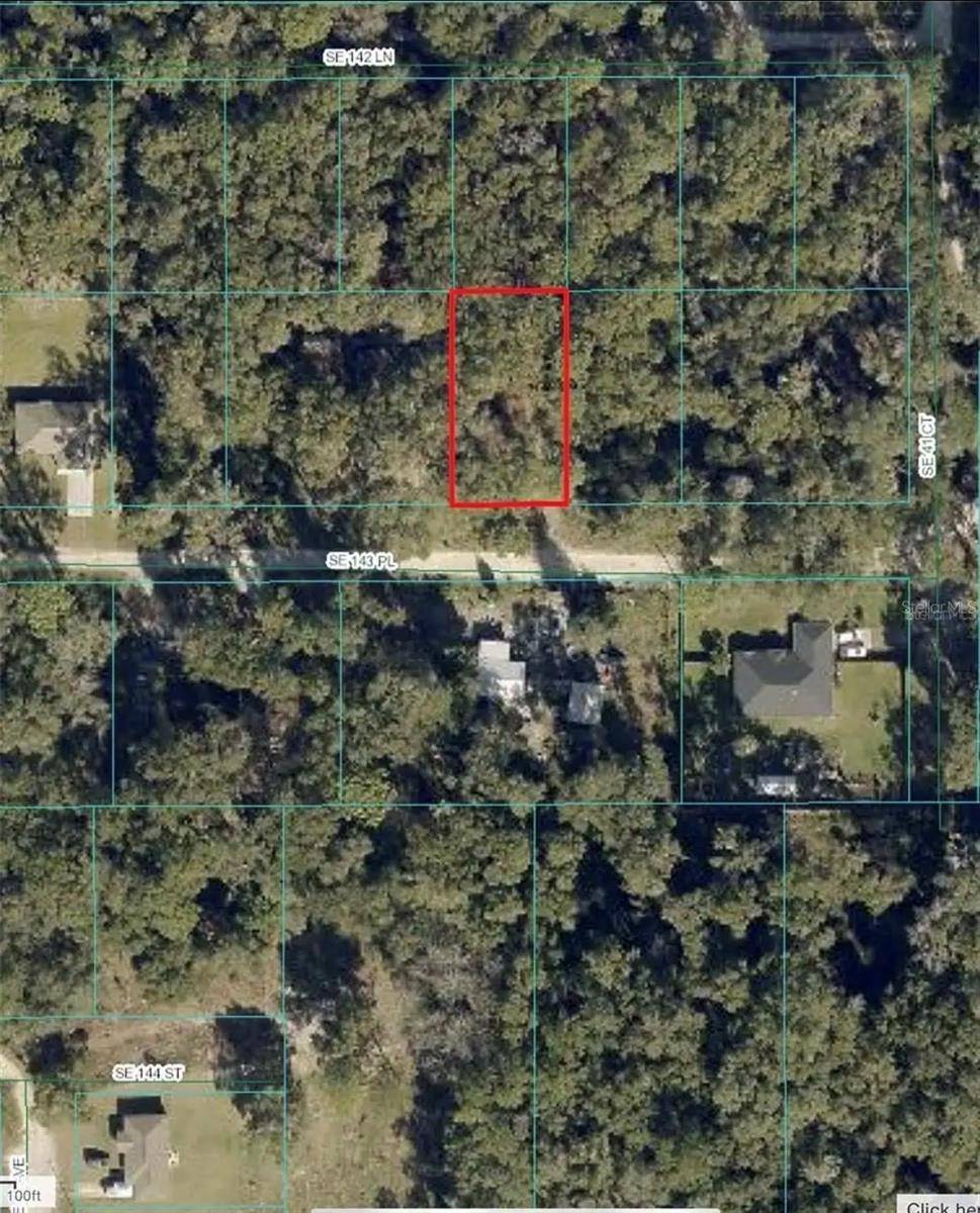 Summerfield, FL 34491,UNDETERMINED