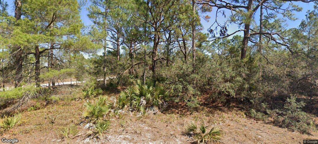 Lake Placid, FL 33852,651 JONATHAN ST