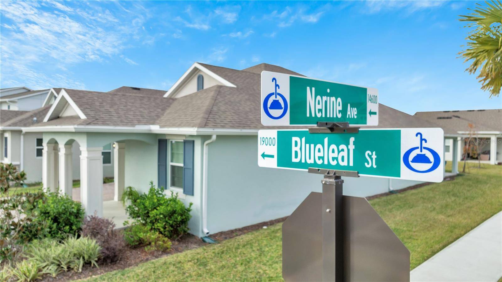 Orlando, FL 32827,19041 BLUELEAF ST