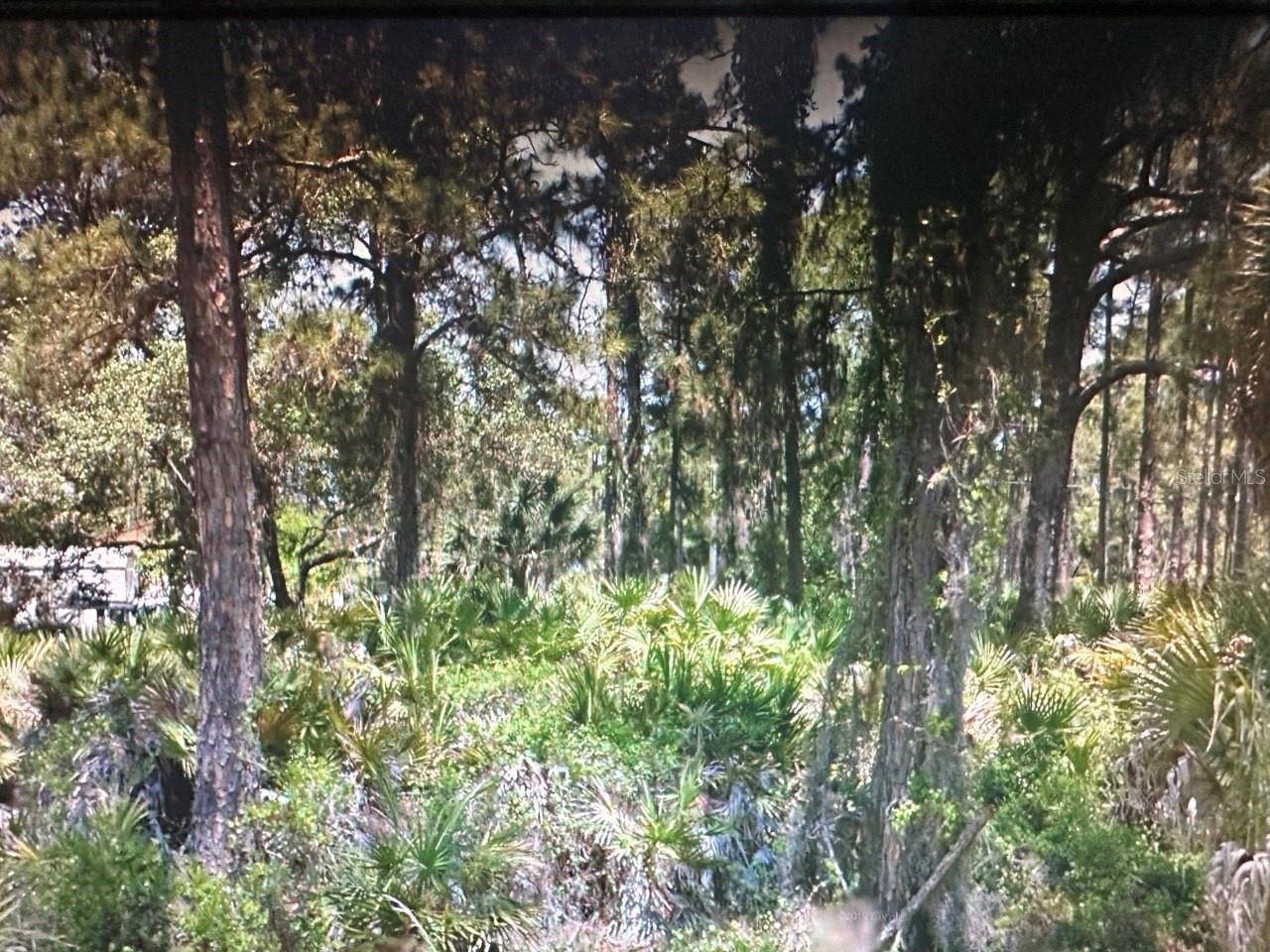 Port Charlotte, FL 33953,12070 HUNTER AVE