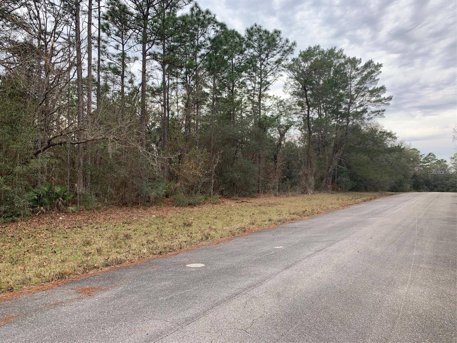 Ocala, FL 34473,156 ST