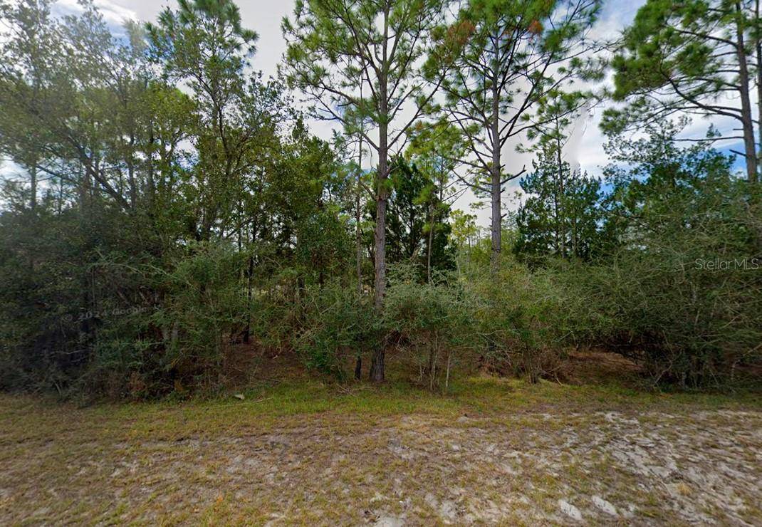 Panacea, FL 32346,337 LEVY BAY RD
