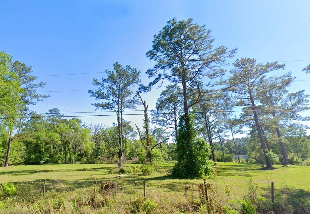 Middleburg, FL 32068,11 CONIFER CIR
