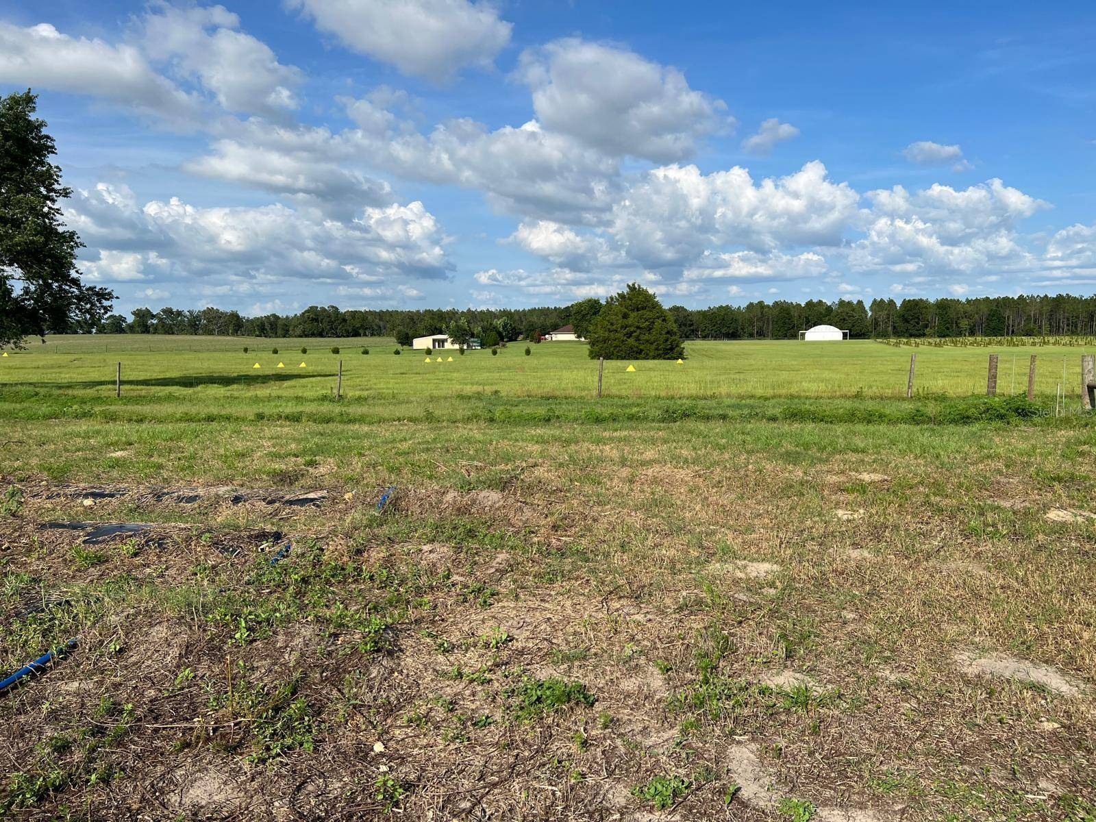 Morriston, FL 32668,00 SE 160 AVE