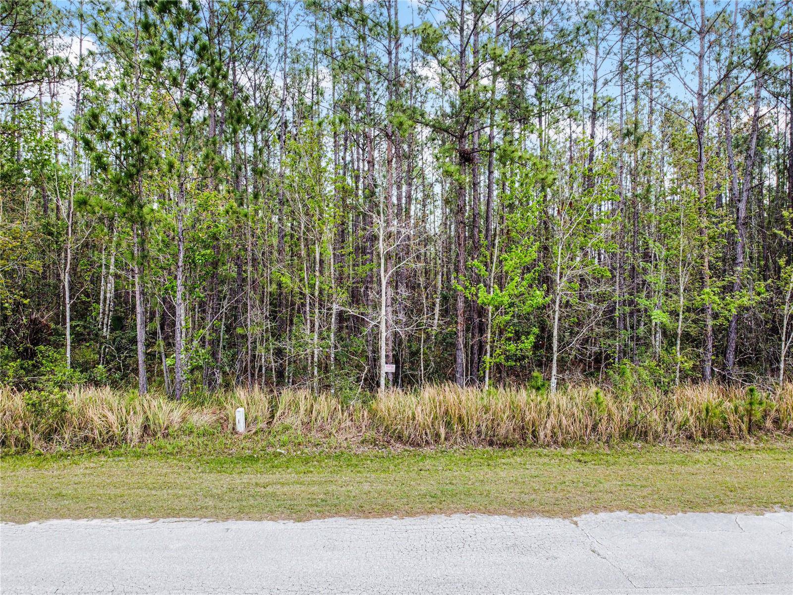 Davenport, FL 33897,1102 HIDDEN PALMS DR