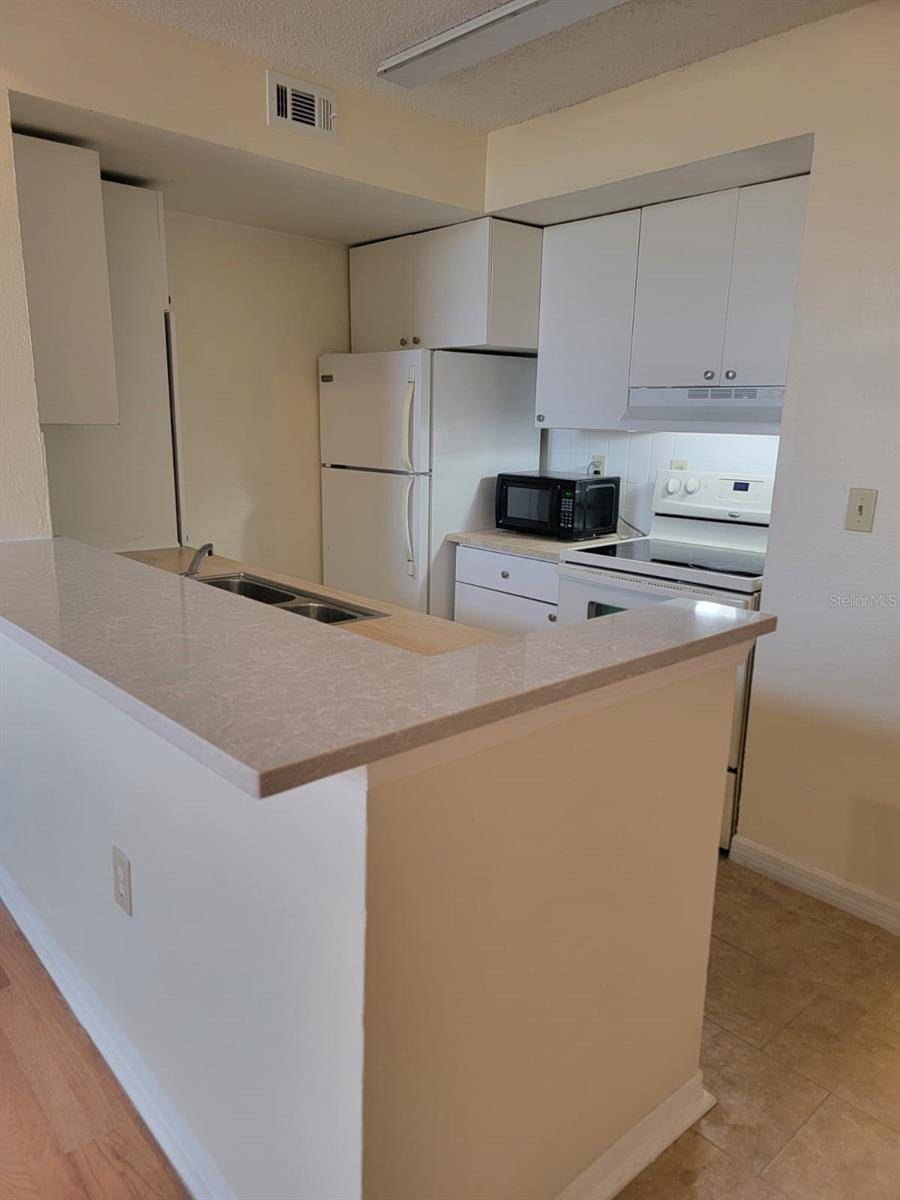 Kissimmee, FL 34741,405 FOUNTAINHEAD CIR #247